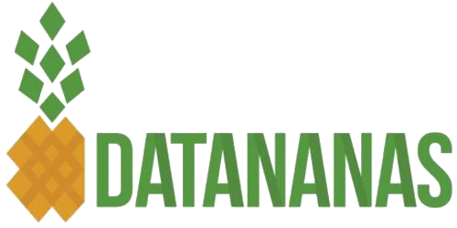 Le premier logo de Datananas, utilisé en 2014