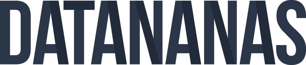Le logo typographique de Datananas utilisé en 2016
