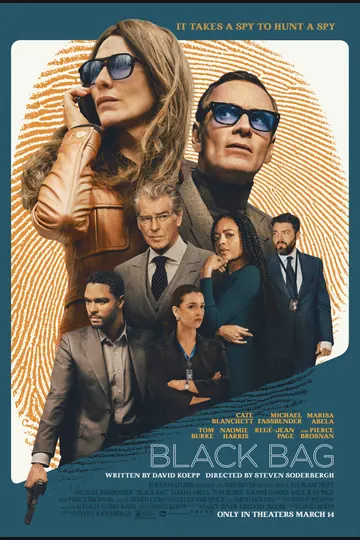 Affiche de The Insider